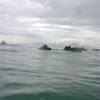 Force Recon Course 2015_081